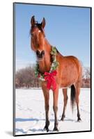 Bay Arabian Horse in Snow with a Christmas Wreath around His Neck - Concept of Gift Horse-Sari ONeal-Mounted Photographic Print