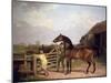 Bay Ascham', a Stallion Led Through a Gate to a Mare, 1804-Jacques-Laurent Agasse-Mounted Giclee Print