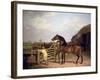 Bay Ascham', a Stallion Led Through a Gate to a Mare, 1804-Jacques-Laurent Agasse-Framed Giclee Print