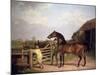 Bay Ascham', a Stallion Led Through a Gate to a Mare, 1804-Jacques-Laurent Agasse-Mounted Giclee Print