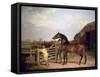 Bay Ascham', a Stallion Led Through a Gate to a Mare, 1804-Jacques-Laurent Agasse-Framed Stretched Canvas