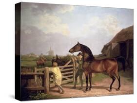 Bay Ascham', a Stallion Led Through a Gate to a Mare, 1804-Jacques-Laurent Agasse-Stretched Canvas