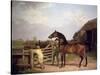 Bay Ascham', a Stallion Led Through a Gate to a Mare, 1804-Jacques-Laurent Agasse-Stretched Canvas