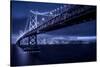 bay-bridge-1-Lincoln Harrison-Stretched Canvas