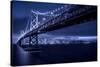 bay-bridge-1-Lincoln Harrison-Stretched Canvas