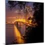 Bay Bridge, A Night on the Town, San Francisco-Vincent James-Mounted Photographic Print