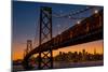 Bay Bridge and Crescent Moon Cityscape, California-Vincent James-Mounted Photographic Print