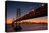 Bay Bridge and San Francisco Cityscape, California-Vincent James-Stretched Canvas