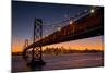 Bay Bridge and San Francisco Cityscape, California-Vincent James-Mounted Photographic Print