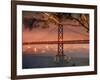 Bay Bridge at Sunset-Ralph Crane-Framed Photographic Print