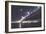 Bay Bridge by Moonlight, San Francisco-Vincent James-Framed Photographic Print