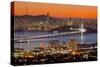 Bay Bridge from Berkeley-John Gavrilis-Stretched Canvas