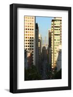 Bay Bridge from Downtown San Francisco-Anna Miller-Framed Photographic Print