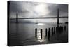 Bay Bridge, San Francisco, California, United States of America, North America-Richard Cummins-Stretched Canvas