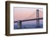 Bay Bridge, San Francisco, California, United States of America, North America-Richard Cummins-Framed Photographic Print