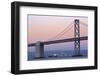 Bay Bridge, San Francisco, California, United States of America, North America-Richard Cummins-Framed Photographic Print