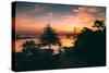 Bay Bridge Sunrise from Treasure Island, San Francisco, California-Vincent James-Stretched Canvas