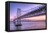 Bay Bridge Wasteland, Desolation View, San Francisco-Vincent James-Framed Stretched Canvas