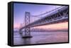 Bay Bridge Wasteland, Desolation View, San Francisco-Vincent James-Framed Stretched Canvas