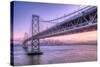 Bay Bridge Wasteland, Desolation View, San Francisco-Vincent James-Stretched Canvas