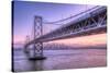 Bay Bridge Wasteland, Desolation View, San Francisco-Vincent James-Stretched Canvas