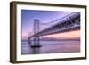 Bay Bridge Wasteland, Desolation View, San Francisco-Vincent James-Framed Photographic Print