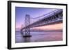 Bay Bridge Wasteland, Desolation View, San Francisco-Vincent James-Framed Photographic Print