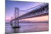 Bay Bridge Wasteland, Desolation View, San Francisco-Vincent James-Mounted Photographic Print