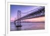 Bay Bridge Wasteland, Desolation View, San Francisco-Vincent James-Framed Photographic Print