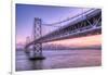 Bay Bridge Wasteland, Desolation View, San Francisco-Vincent James-Framed Photographic Print