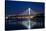 Bay Bridge-John Roman Images-Stretched Canvas