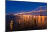 Bay Bridge-nstanev-Mounted Photographic Print