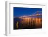 Bay Bridge-nstanev-Framed Photographic Print