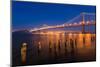 Bay Bridge-nstanev-Mounted Photographic Print