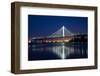 Bay Bridge-John Roman Images-Framed Photographic Print