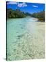 Bay de Oro, Ile Des Pins, New Caledonia, Melanesia, South Pacific, Pacific-Michael Runkel-Stretched Canvas