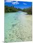 Bay de Oro, Ile Des Pins, New Caledonia, Melanesia, South Pacific, Pacific-Michael Runkel-Mounted Photographic Print