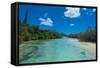 Bay De Oro, Ile Des Pins, New Caledonia, South Pacific-Michael Runkel-Framed Stretched Canvas