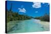 Bay De Oro, Ile Des Pins, New Caledonia, South Pacific-Michael Runkel-Stretched Canvas
