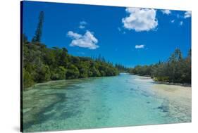 Bay De Oro, Ile Des Pins, New Caledonia, South Pacific-Michael Runkel-Stretched Canvas