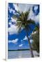 Bay De Ouameo, Ile Des Pins, New Caledonia, South Pacific-Michael Runkel-Framed Premium Photographic Print