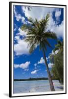 Bay De Ouameo, Ile Des Pins, New Caledonia, South Pacific-Michael Runkel-Framed Premium Photographic Print