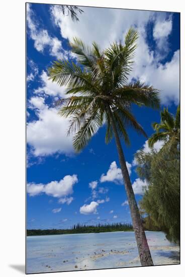 Bay De Ouameo, Ile Des Pins, New Caledonia, South Pacific-Michael Runkel-Mounted Premium Photographic Print