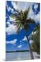 Bay De Ouameo, Ile Des Pins, New Caledonia, South Pacific-Michael Runkel-Mounted Premium Photographic Print