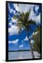 Bay De Ouameo, Ile Des Pins, New Caledonia, South Pacific-Michael Runkel-Framed Premium Photographic Print