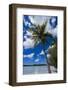 Bay De Ouameo, Ile Des Pins, New Caledonia, South Pacific-Michael Runkel-Framed Photographic Print