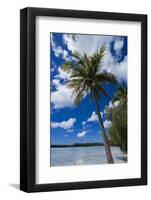 Bay De Ouameo, Ile Des Pins, New Caledonia, South Pacific-Michael Runkel-Framed Photographic Print