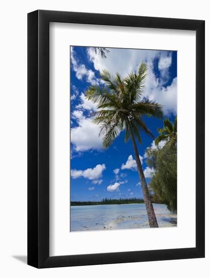 Bay De Ouameo, Ile Des Pins, New Caledonia, South Pacific-Michael Runkel-Framed Photographic Print