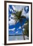 Bay De Ouameo, Ile Des Pins, New Caledonia, South Pacific-Michael Runkel-Framed Photographic Print