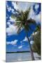Bay De Ouameo, Ile Des Pins, New Caledonia, South Pacific-Michael Runkel-Mounted Photographic Print